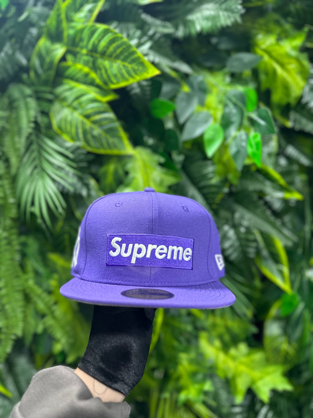 Cappello Supreme Viola